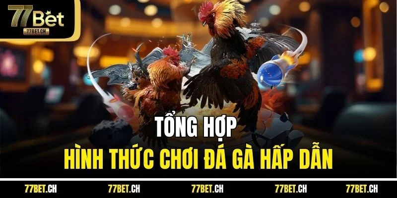 Tổng hợp hình thức chơi đá gà hấp dẫn