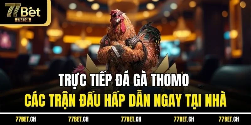 Trực Tiếp Đá Gà Thomo Các Trận Đấu Hấp Dẫn Ngay Tại Nhà