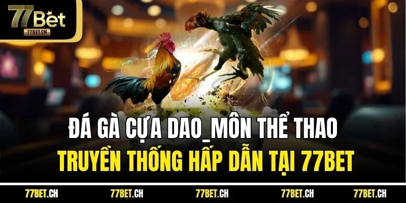 Đá Gà Cựa Dao_Môn Thể Thao Truyền Thống Hấp Dẫn Tại 77BET